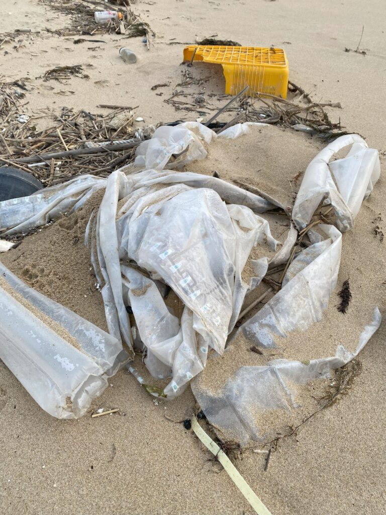 岩屋海岸に打ち上げられ、砂によって埋もれている巨大なビニール製品