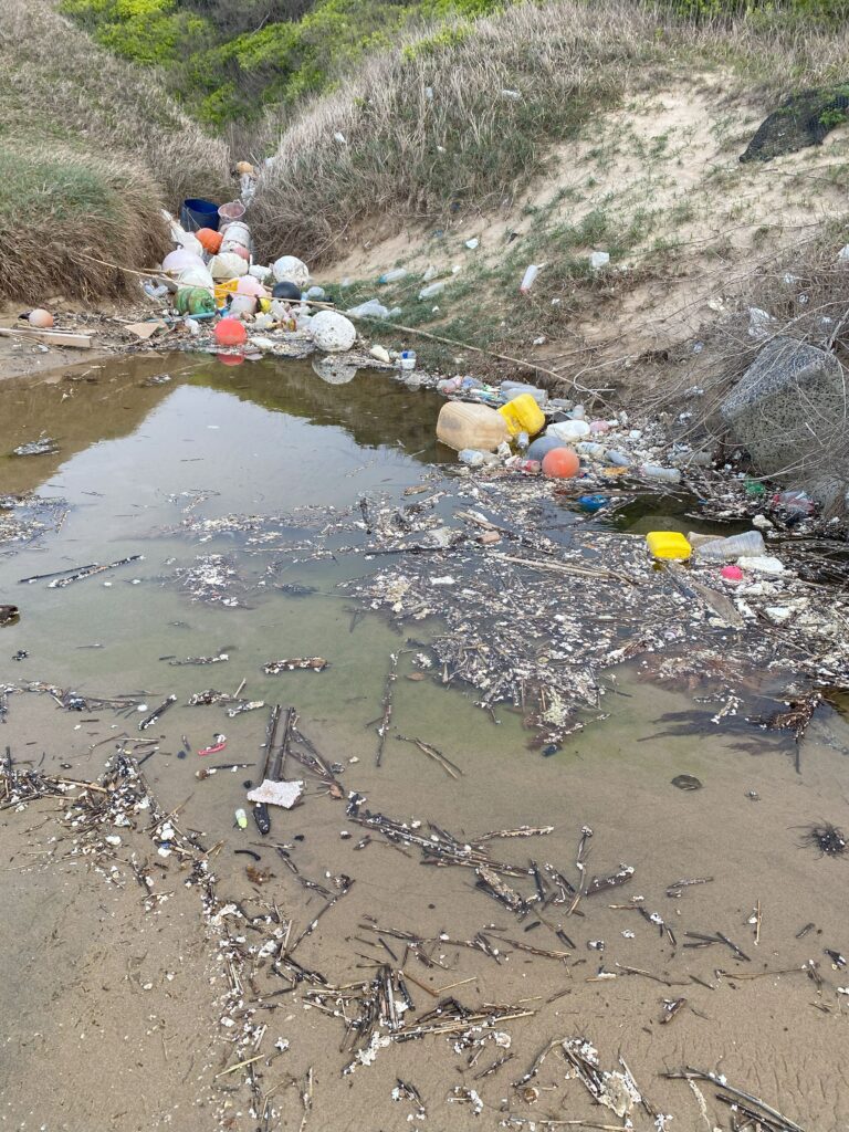 ２０２５年４月１６日　岩屋海岸清掃の記録①