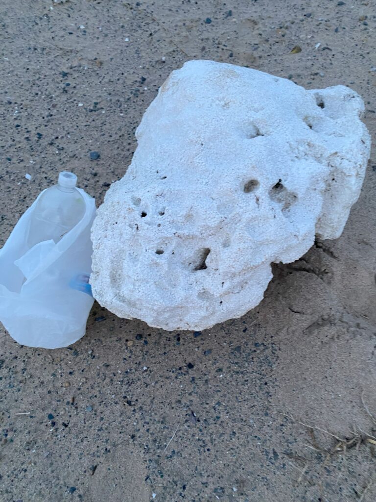 海岸に打ち上げられたペットボトルと発砲スチロール等の海洋ごみを回収した様子