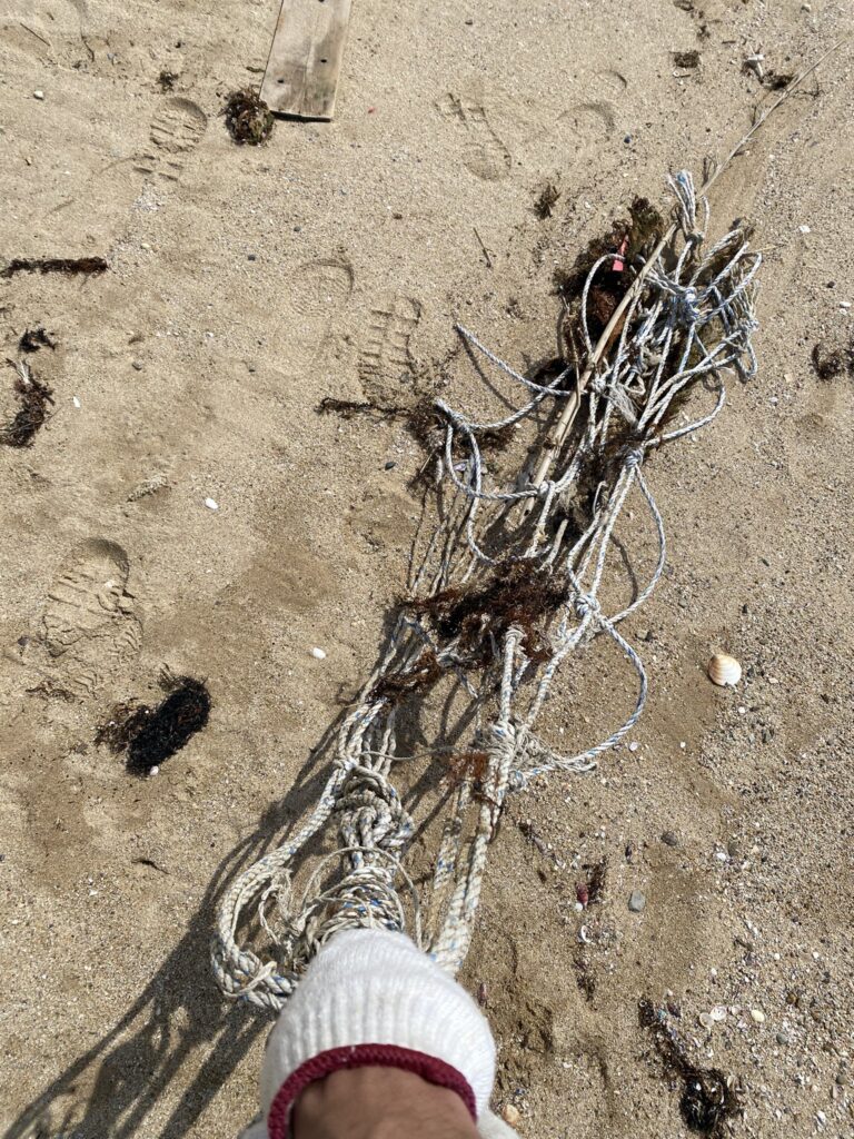 ２０２５年４月３０日　岩屋海岸清掃でロープを回収している様子