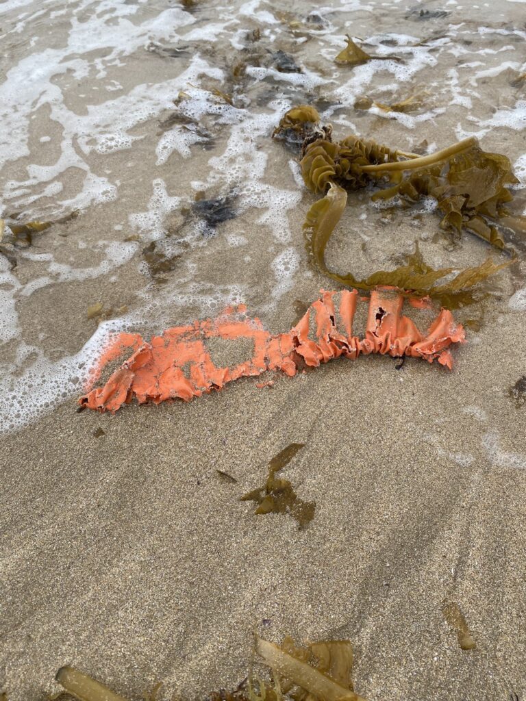 ２０２５年５月１８日　脇田海岸清掃活動の記録①