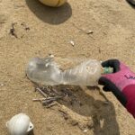 ２０２５年５月３１日　波津海岸清掃活動記録①