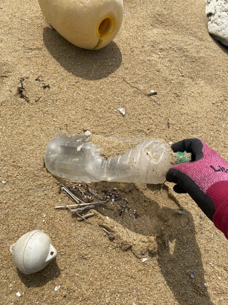 ２０２５年５月３１日　波津海岸清掃活動記録①