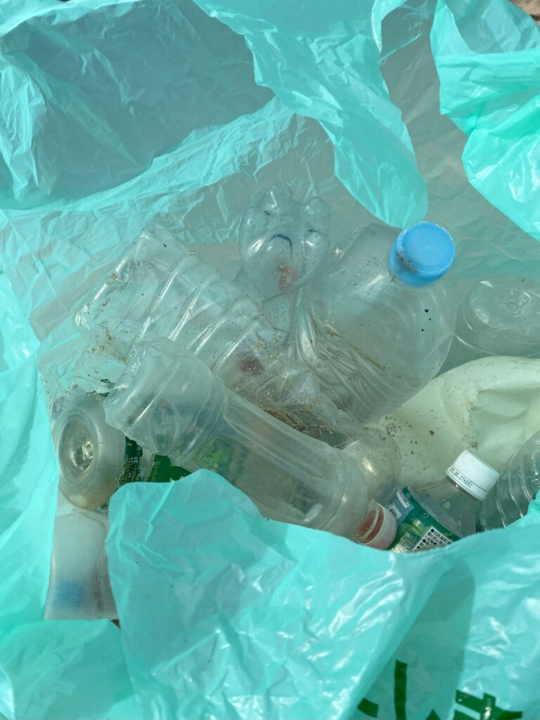 ２０２５年２月９日　われら海岸探偵団　脇田海岸清掃活動の様子②