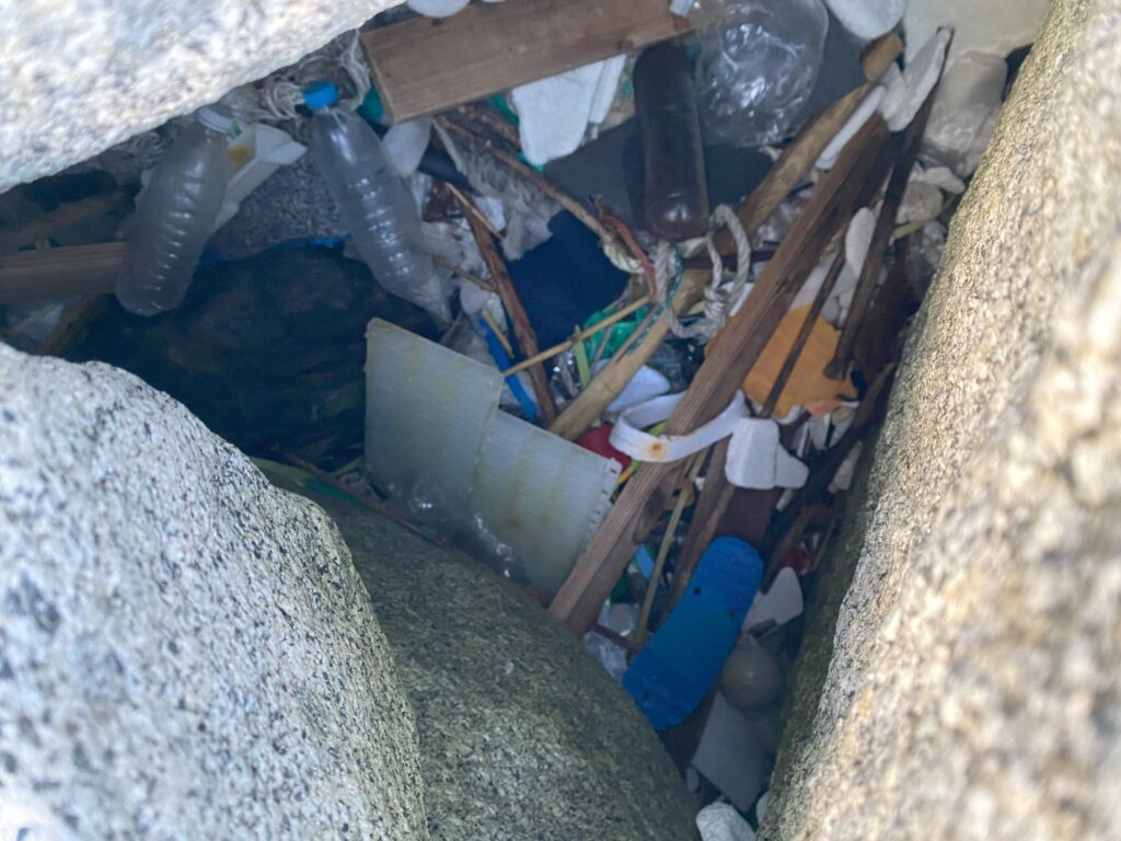 ２０２５年５月２６日　脇田海岸のテトラポットの隙間に入り込んだ海洋ごみの様子②