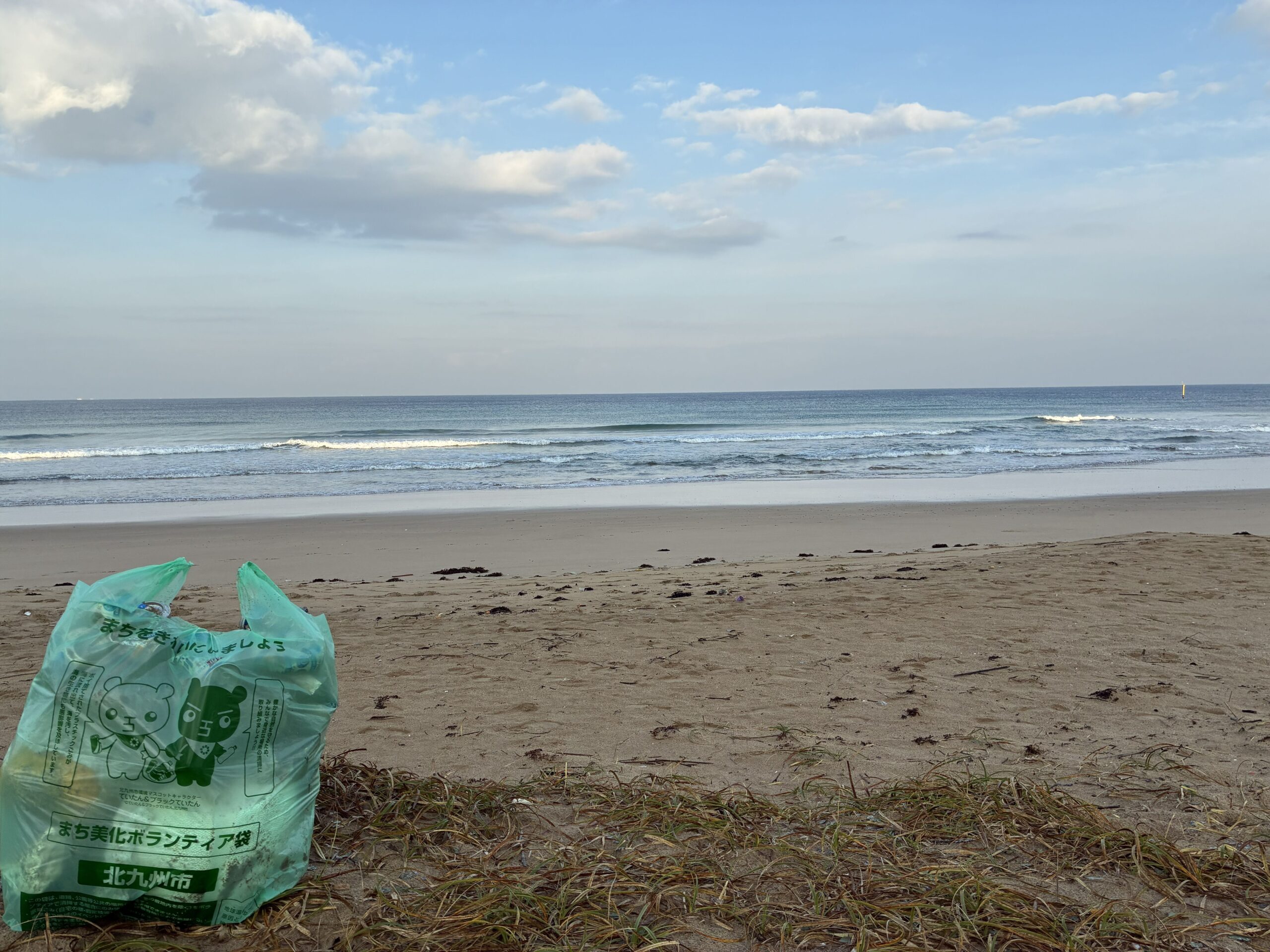 海岸清掃で回収したごみの様子と背景には海
