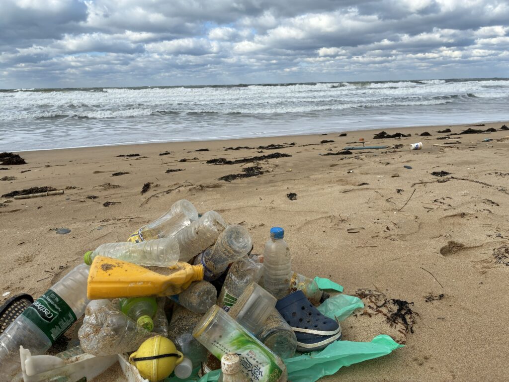 ２０２５年１２月２７日　個人で岩屋海岸ビーチクリーン活動