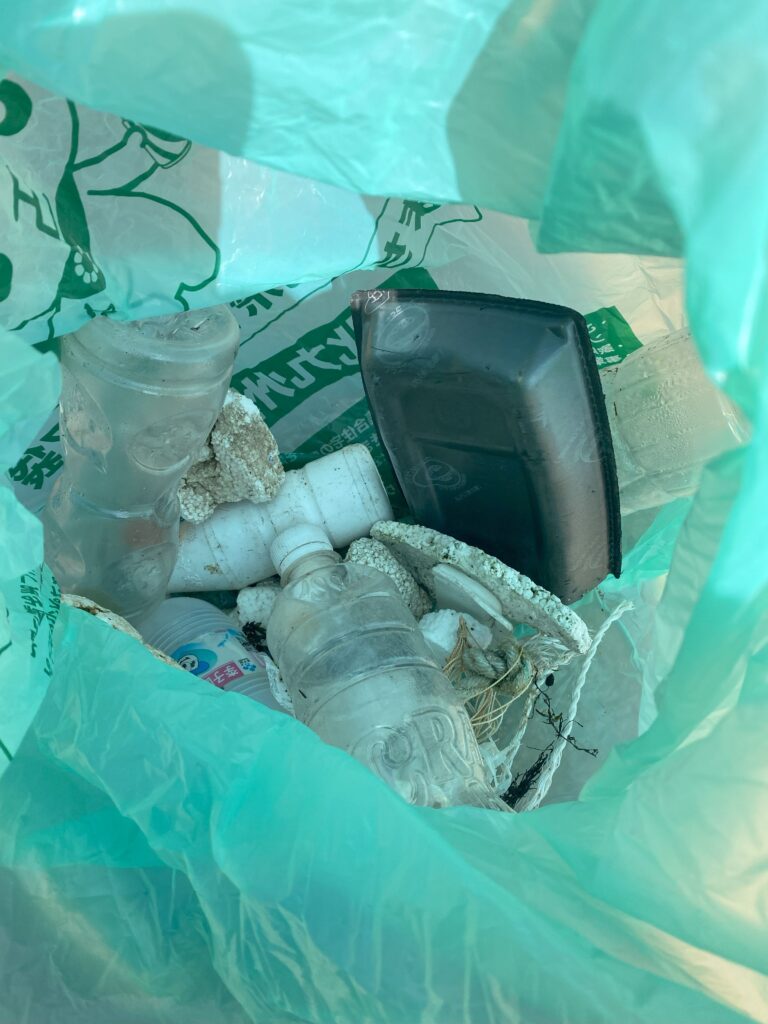 われら海岸探偵団にて岩屋東海岸清掃活動の様子