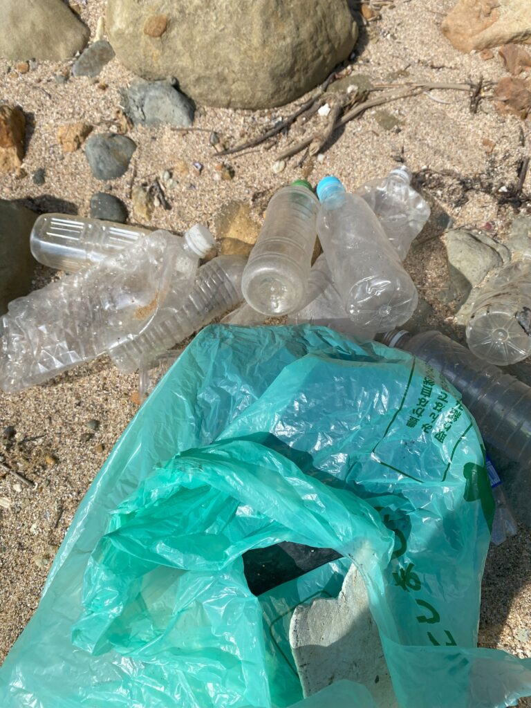 岩屋海岸清掃活動中に散乱していた８本のペットボトル