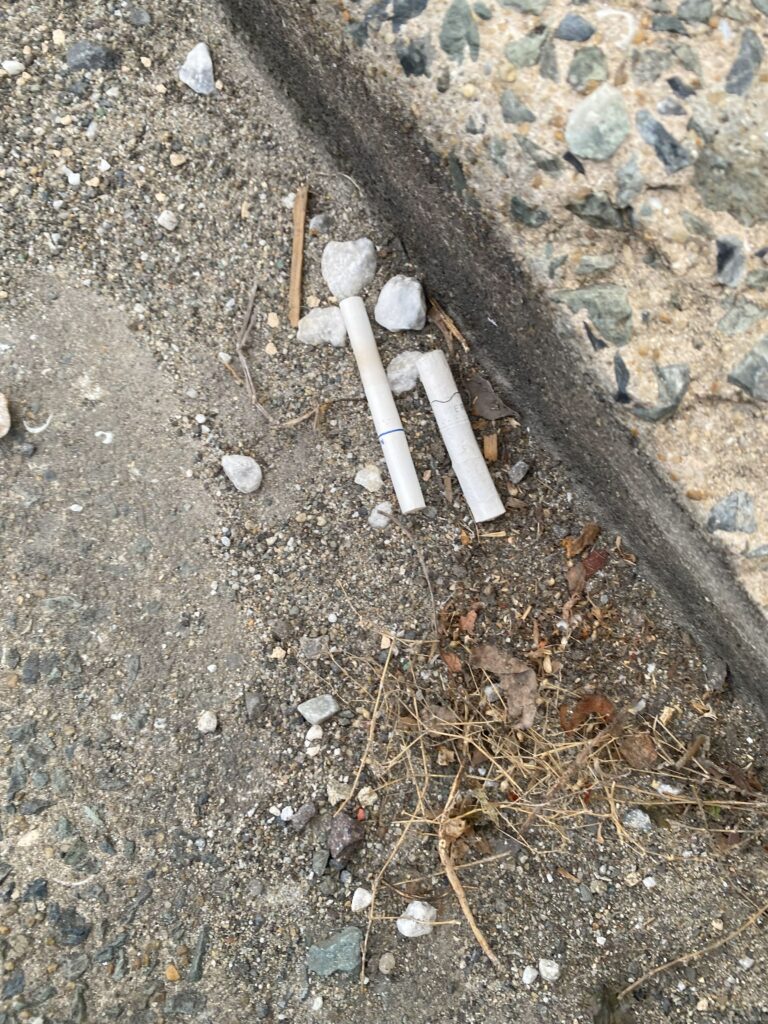 路上にポイ捨てされた２本のタバコの吸い殻