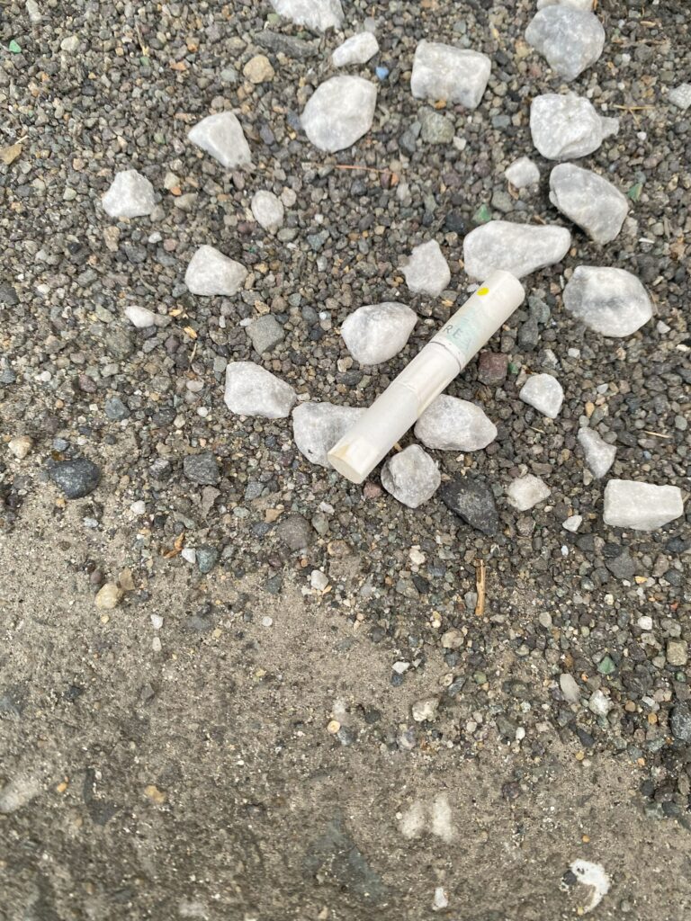 路上にポイ捨てされた１本のタバコの吸い殻