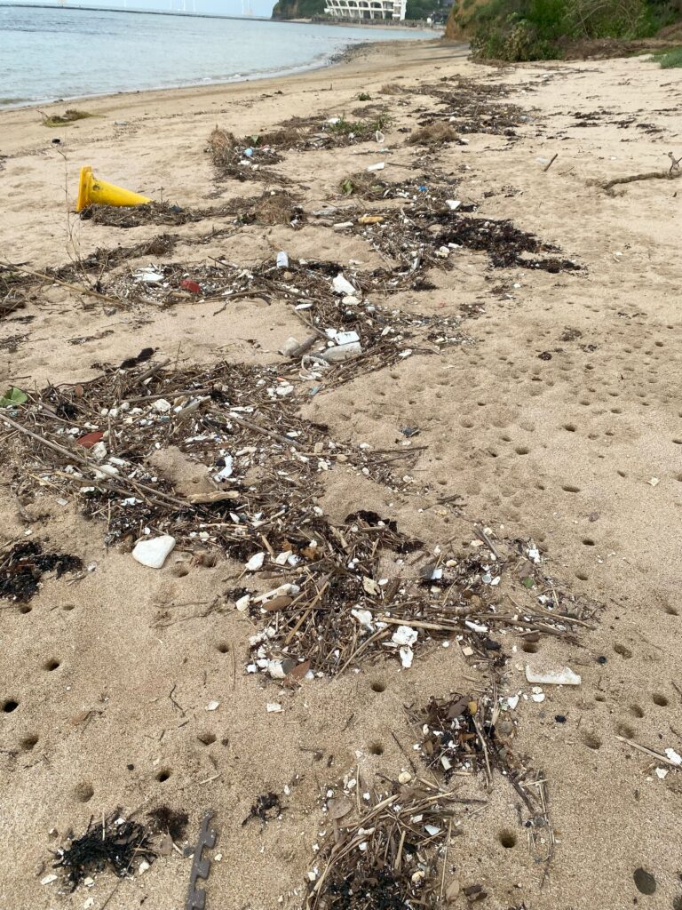 岩屋海岸に打ち上げられたプラスチックの様子