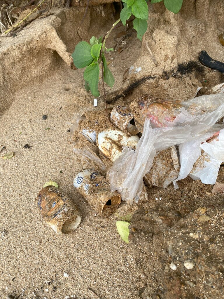 岩屋海岸の砂浜に埋没した複数の缶ビールを記録②