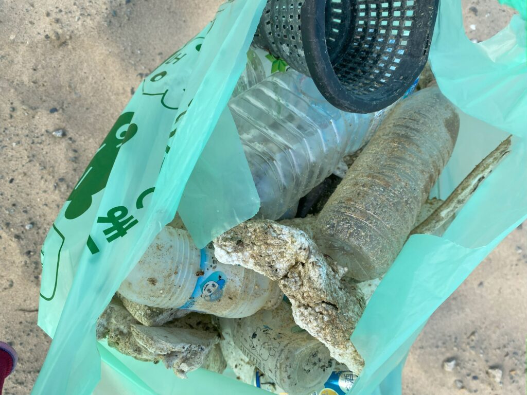 岩屋海岸清掃活動で回収した海洋ごみの様子