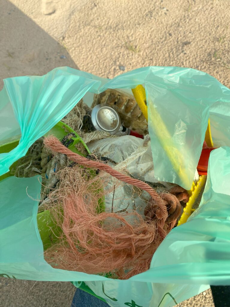 岩屋海岸清掃活動で回収した海洋ごみの中身