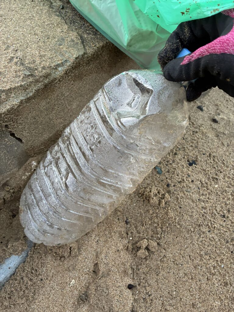 打ち上げられたペットボトルを手に取る様子