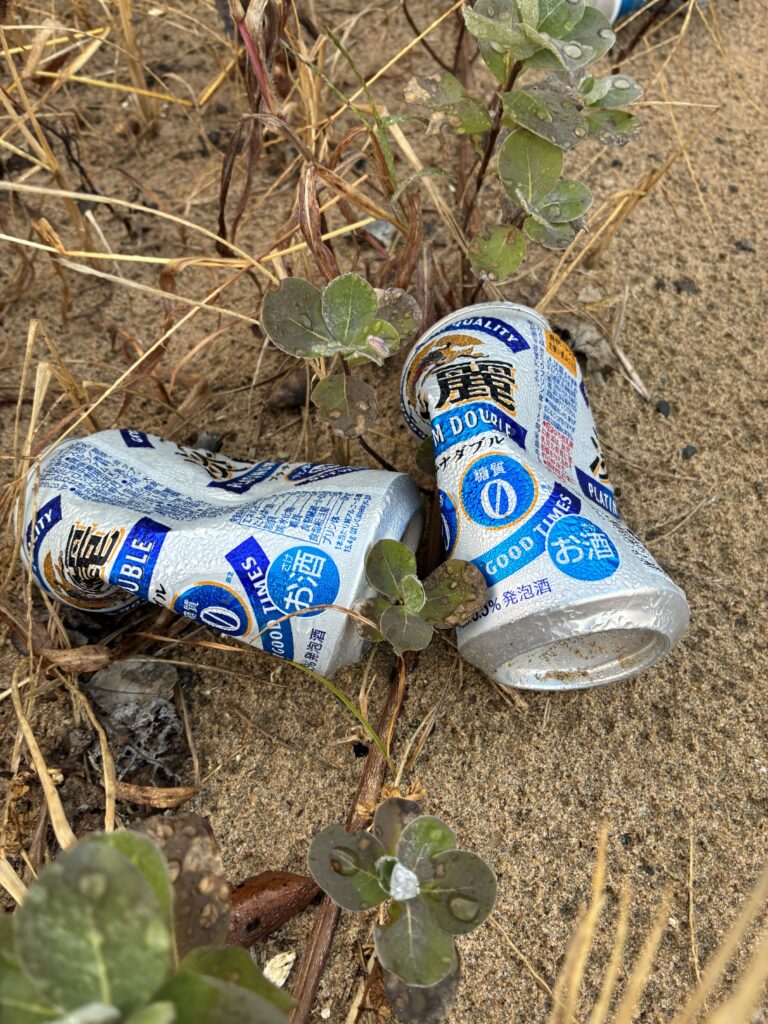 ポイ捨てされた２本のノンアルコール缶ビール