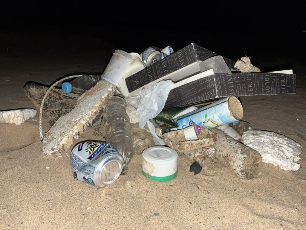 ２０２５年１２月２日　岩屋海岸清掃活動①