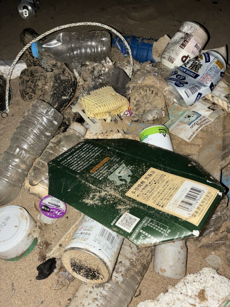 ２０２５年１２月２日　岩屋海岸に打ち上げられた大量の海洋ごみを回収した様子