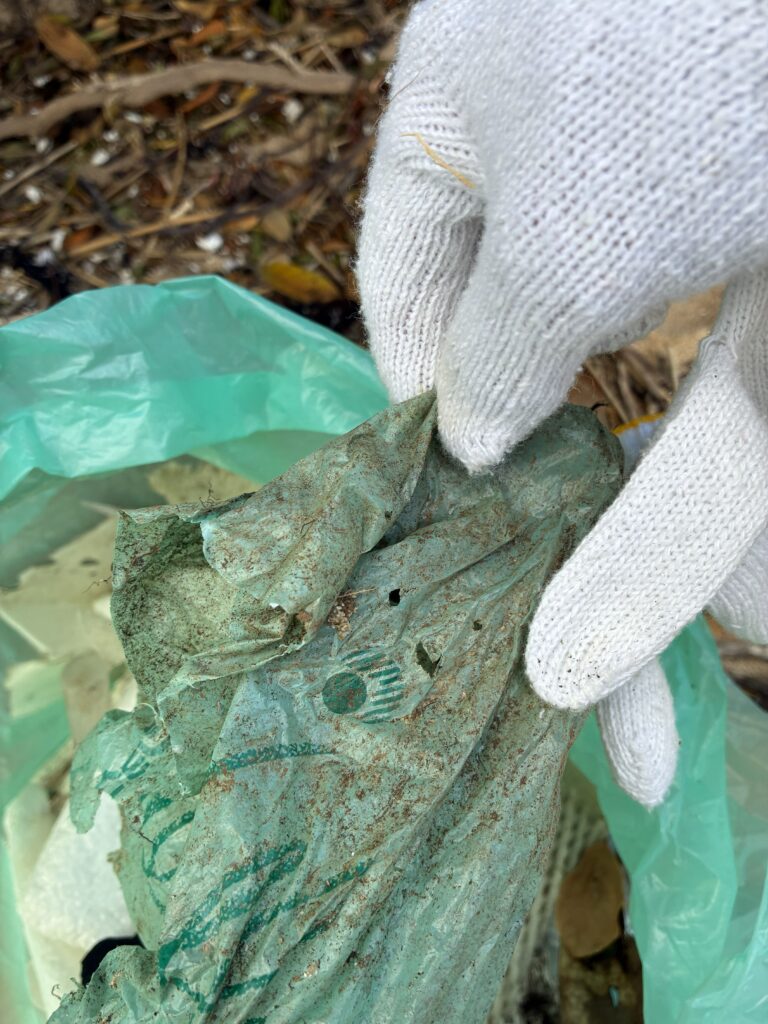 ２０２５年１２月１４日　妙見崎海岸清掃で汚れたビニール袋を回収している様子