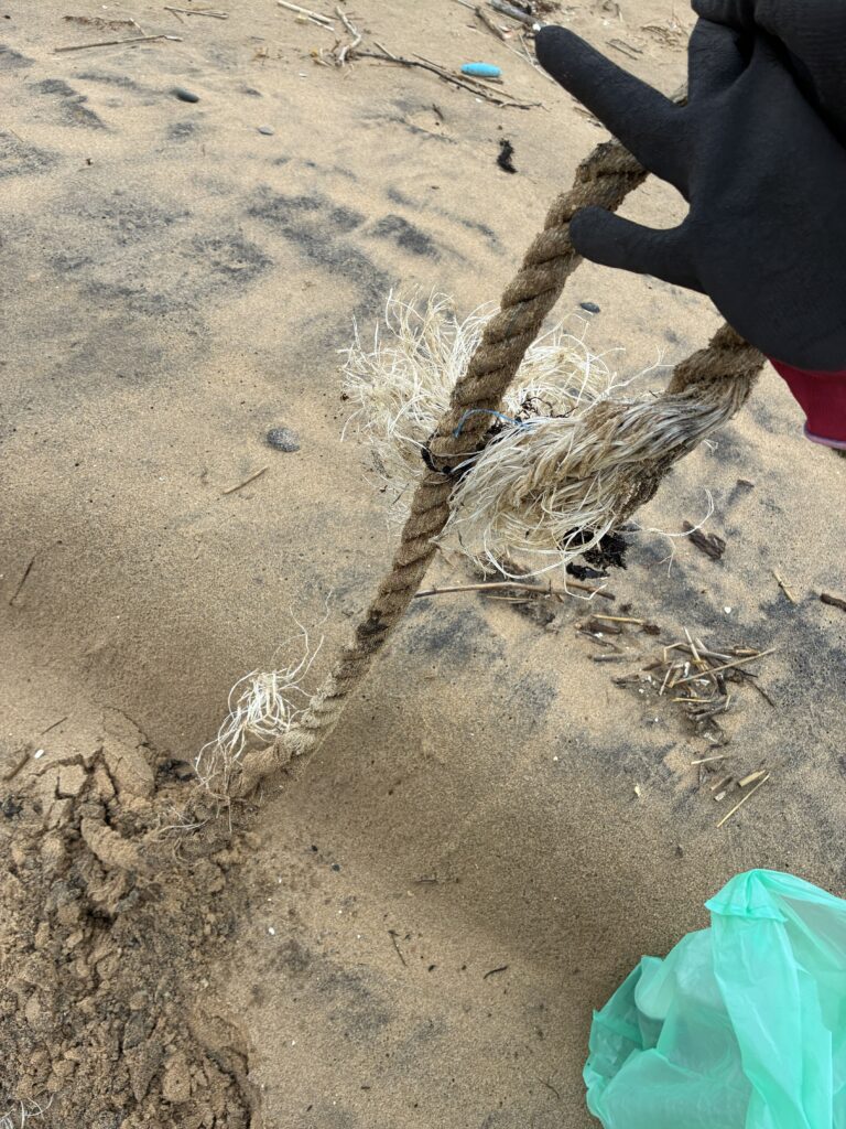 ２０２５年１２月２６日　岩屋海岸清掃でロープを回収中の様子