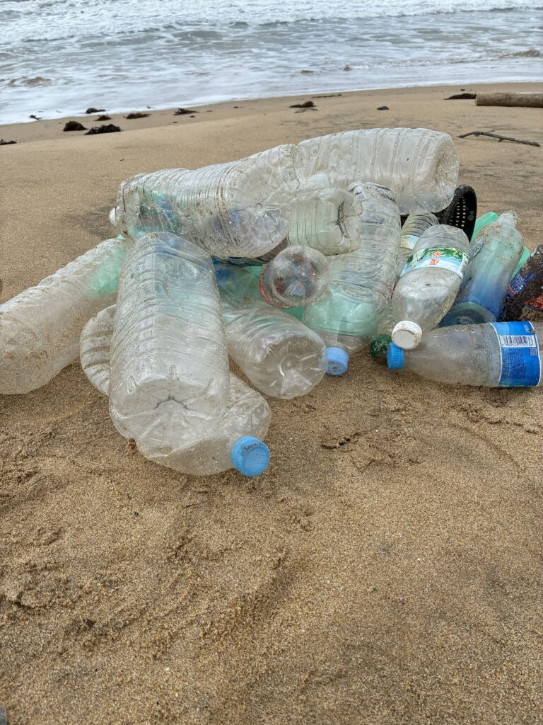 ２０２５年１２月２６日　岩屋海岸清掃で大量に回収したペットボトルの様子