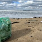 ２０２５年１２月２７日　岩屋海岸清掃活動記録③