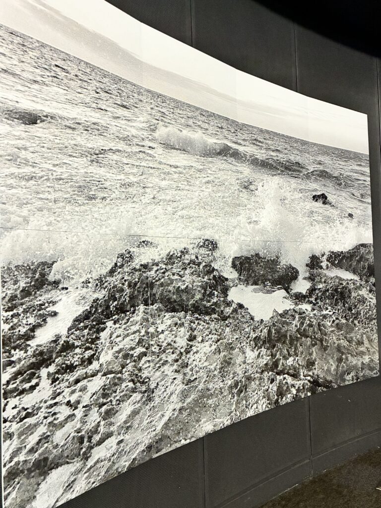 海洋ごみモザイクアート展２０２６　２０２６年２月１５日で、モザイクアート作品を左側から写している様子①